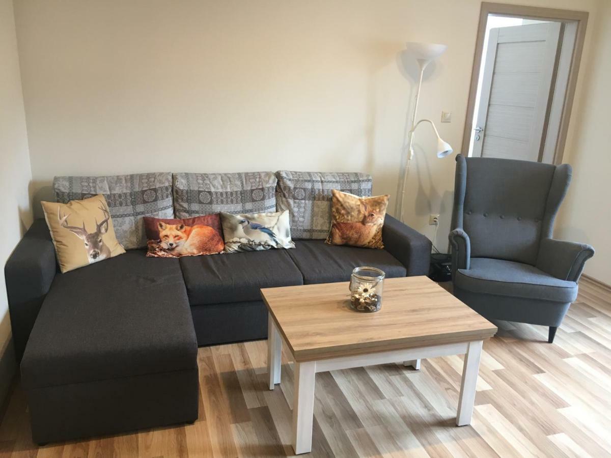 Apartmanovy Dom Romantika - Apartman 5 تالي المظهر الخارجي الصورة